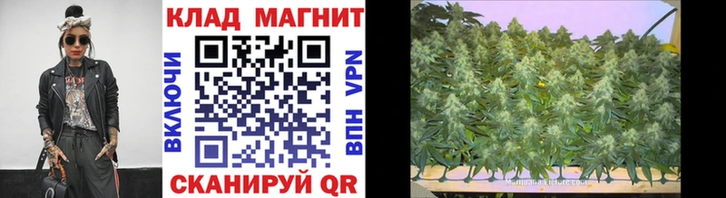 Цена Балей Марихуана  Cocaine  ГАШИШ  СОЛЬ  Мефедрон 