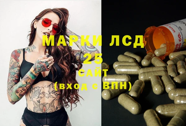 apvp Аркадак