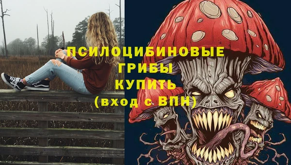 apvp Аркадак