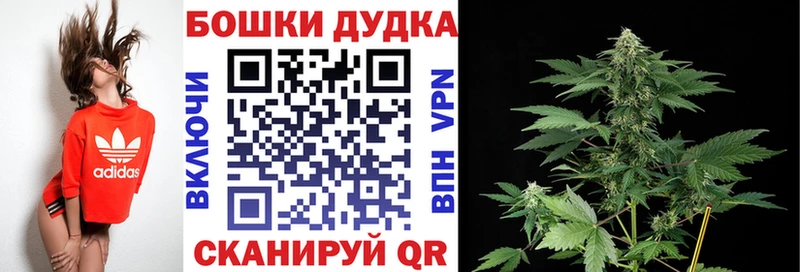 Бошки марихуана план  сколько стоит  Балей 